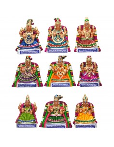 Nava Shri Thayar 9.5"