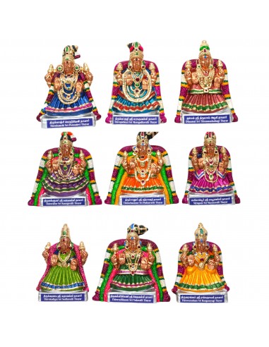 Nava Shri Thayar 9.5"