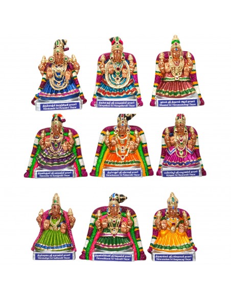 Nava Shri Thayar 9.5"